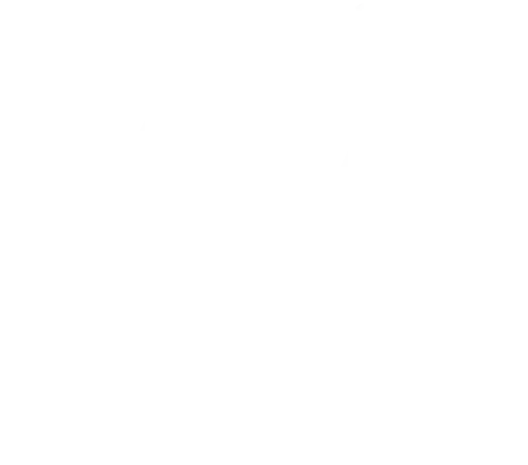 Mobility Portal - White Logo