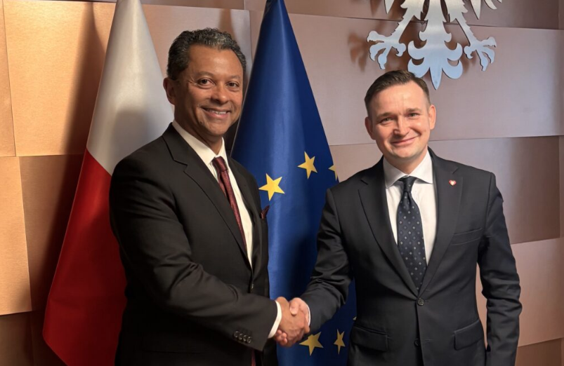 Poland Offers Ascend Elements Up to $320 Million for Battery Materials Plant